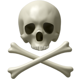 Skull and Bones Icon 256x256 png